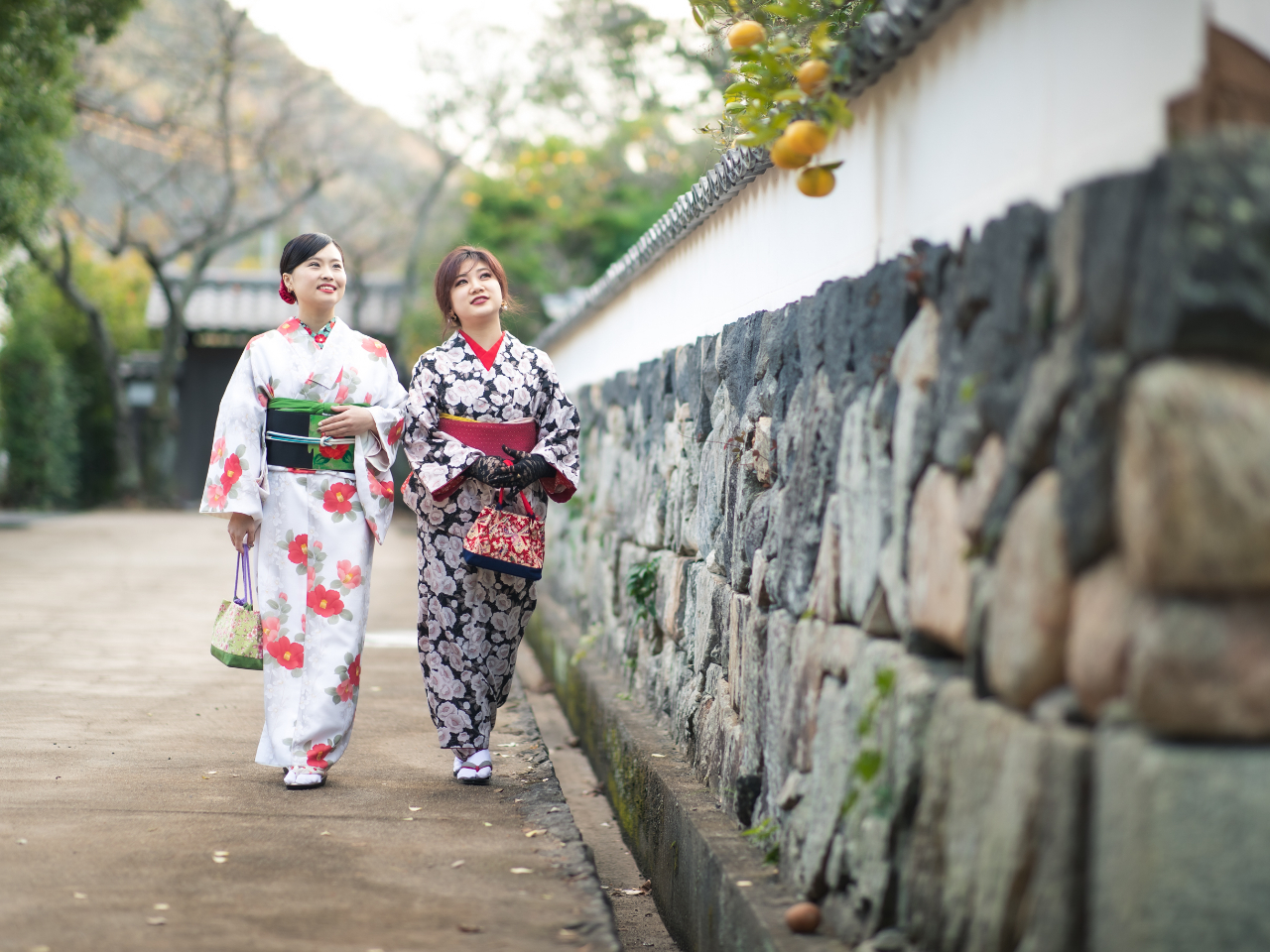 実際にプロカメラマンが撮影した写真です。撮影場所は徒歩10分の萩市堀内地区・鍵曲。