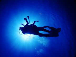 抜群の透明度の海