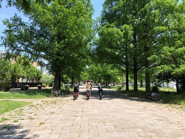 緑豊かな広島市内をぜひ楽しんでください!