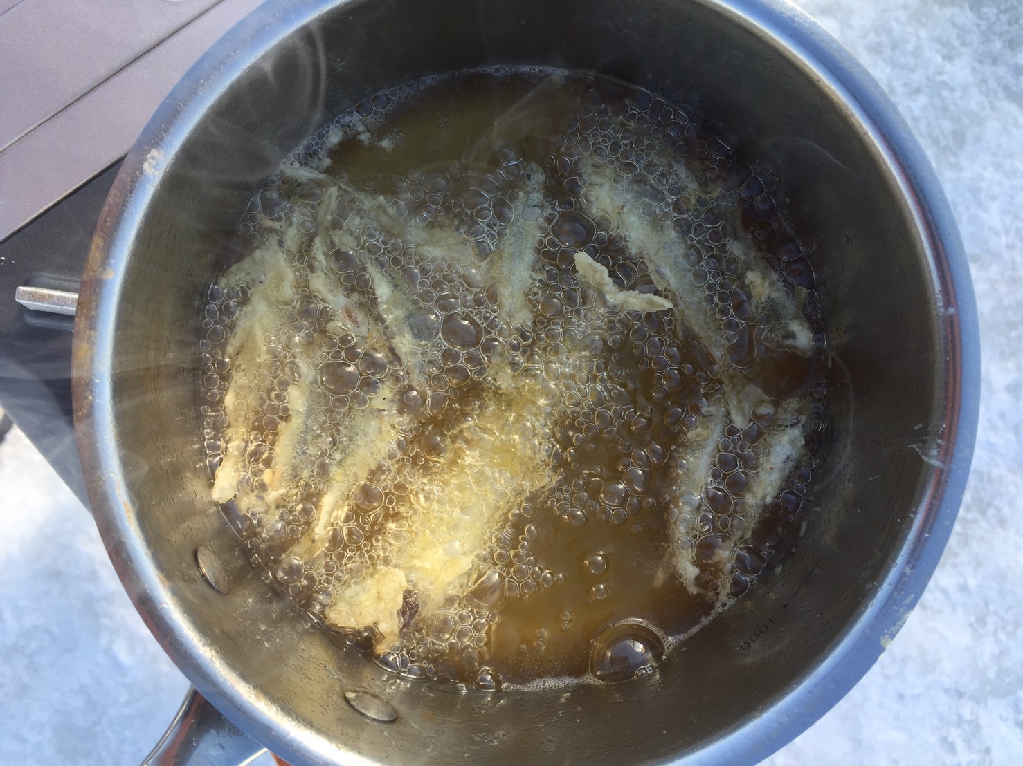 ނꂽJTM͂̏ŁfevfɂĂܖBōłI