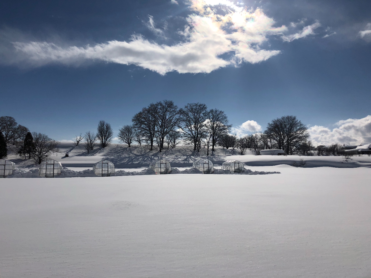 ��ʋ␢�E�Œނ肪�y���߂܂�