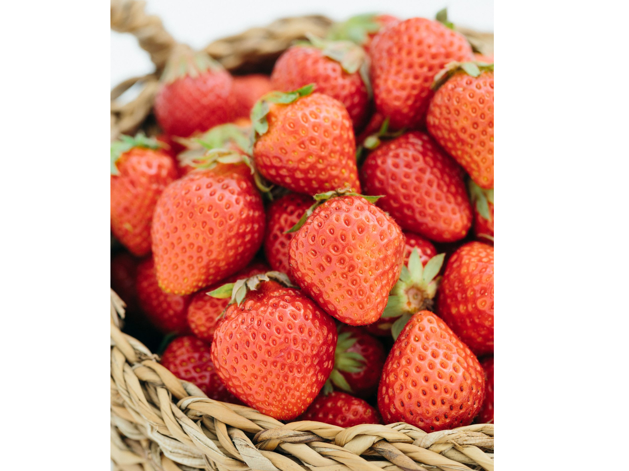 HוvǁAHׂȂ͌v蔄łAł܂I