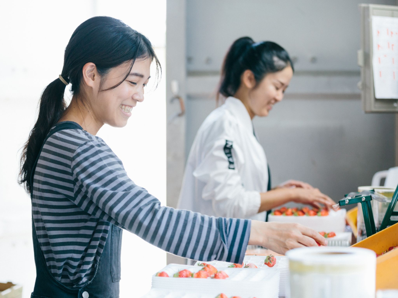 ����ł́A�F����̂�������S��肨�҂����Ă���܂���