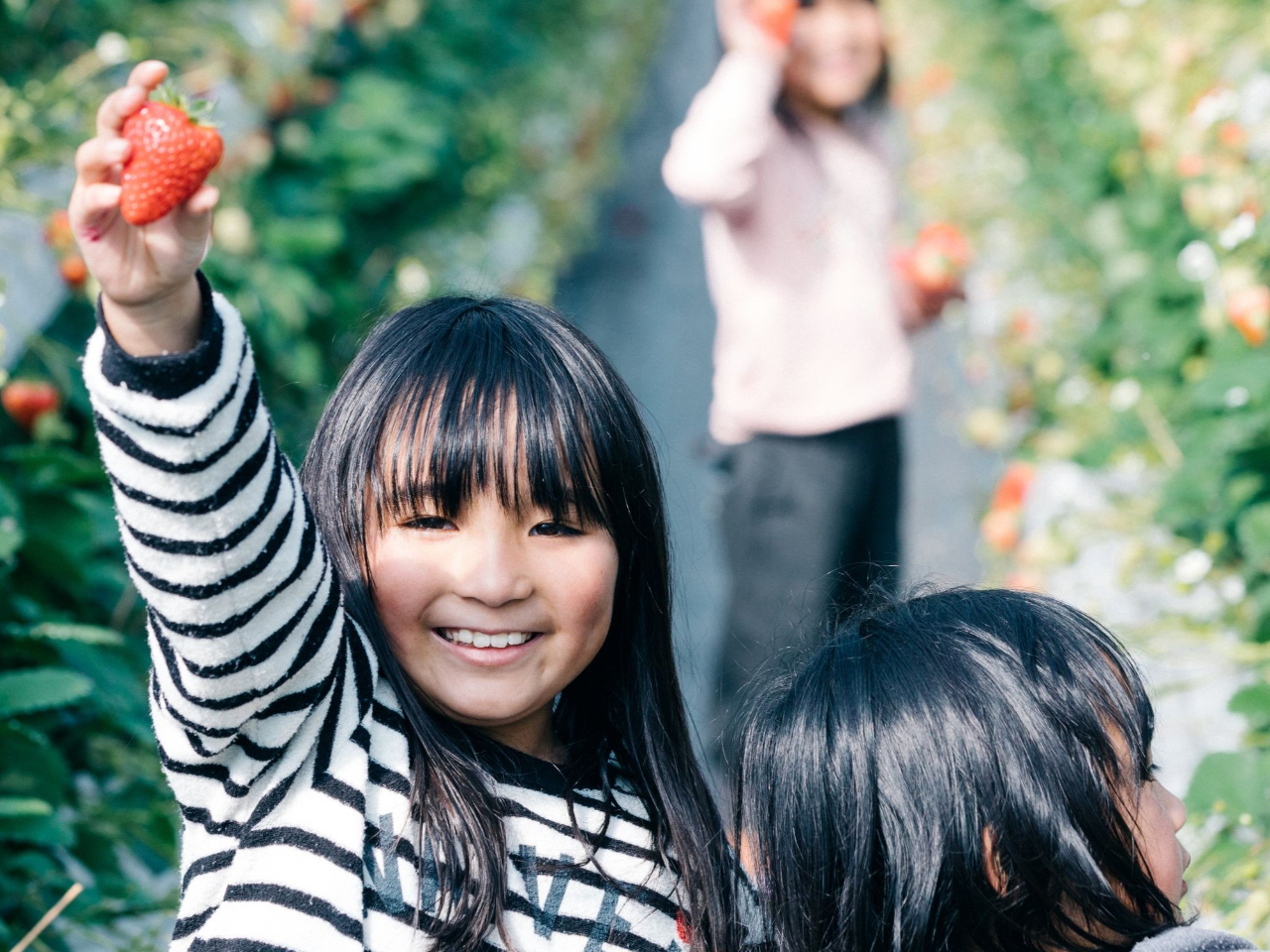 �y�������������I