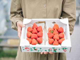 お土産イメージ 2人分です
