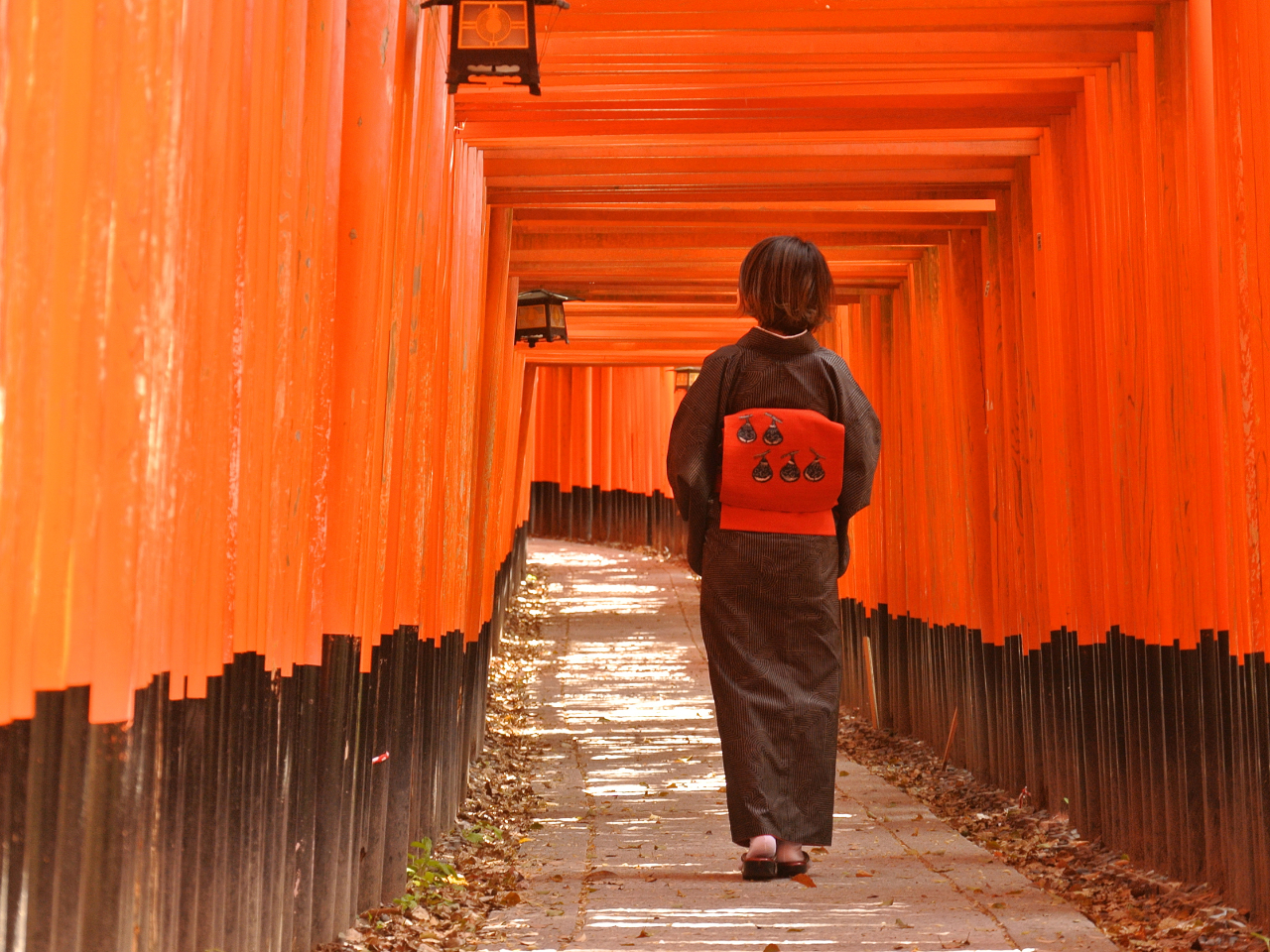 s̎ЎtɂiŗCibvƃvڐ̏㎿R[fBl[gXX̗Rł