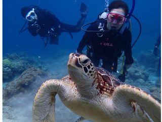 ウミガメと一緒に