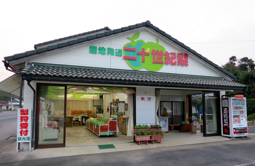 �����炪���̋ь����ɂȂ�܂��I