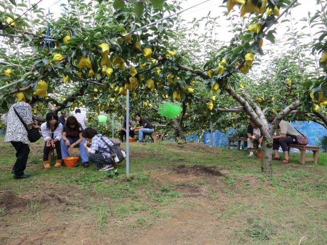 �����ł���