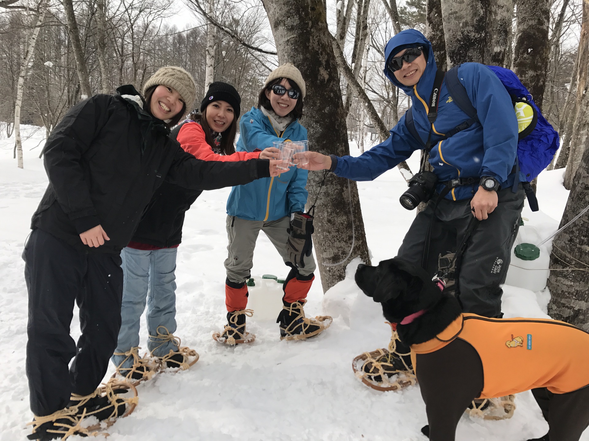 メープル樹液ハントハイキング 野人と行く早春のごちそうハント おたり自然学校 じゃらん遊び体験 メープル樹液ハントハイキング 野人と行く早春のごちそうハント おたり自然学校 じゃらん遊び体験