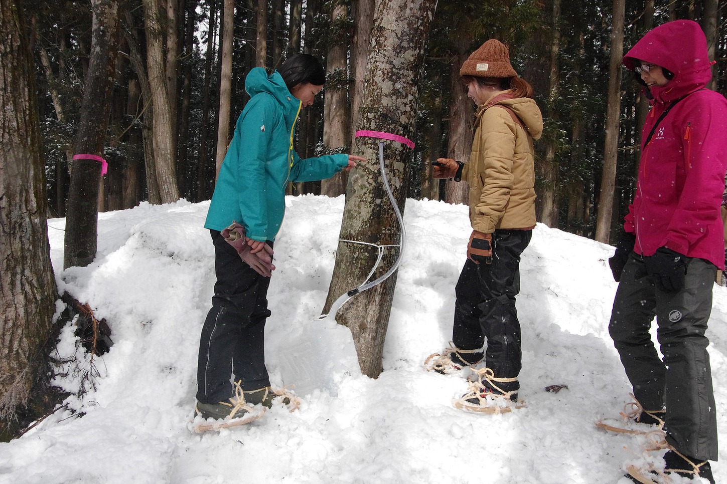メープル樹液ハントハイキング 野人と行く早春のごちそうハント おたり自然学校 じゃらん遊び体験 メープル樹液ハントハイキング 野人と行く早春のごちそうハント おたり自然学校 じゃらん遊び体験