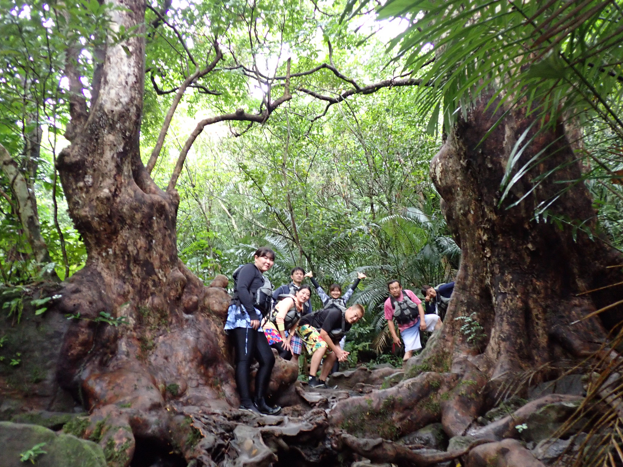 ダイナミックなアカギに囲まれて♪