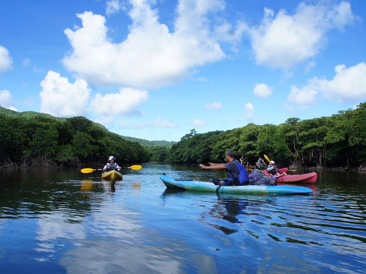 マングローブ林に囲まれた川でカヌーを漕ぐのはとても気持ちがいいです♪初心者でもすぐに漕げます☆