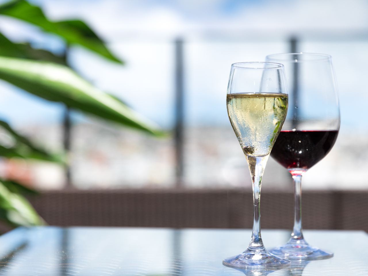 ドラフトワインが飲み放題(90分)