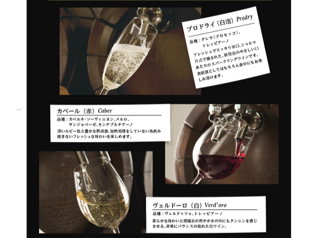 �h���t�g���C���̓X�p�[�N�����O�E�ԁE����3��ނ��p��