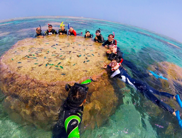 ��s�@�̏ォ��ł��n�}�T���S�͌���܂�