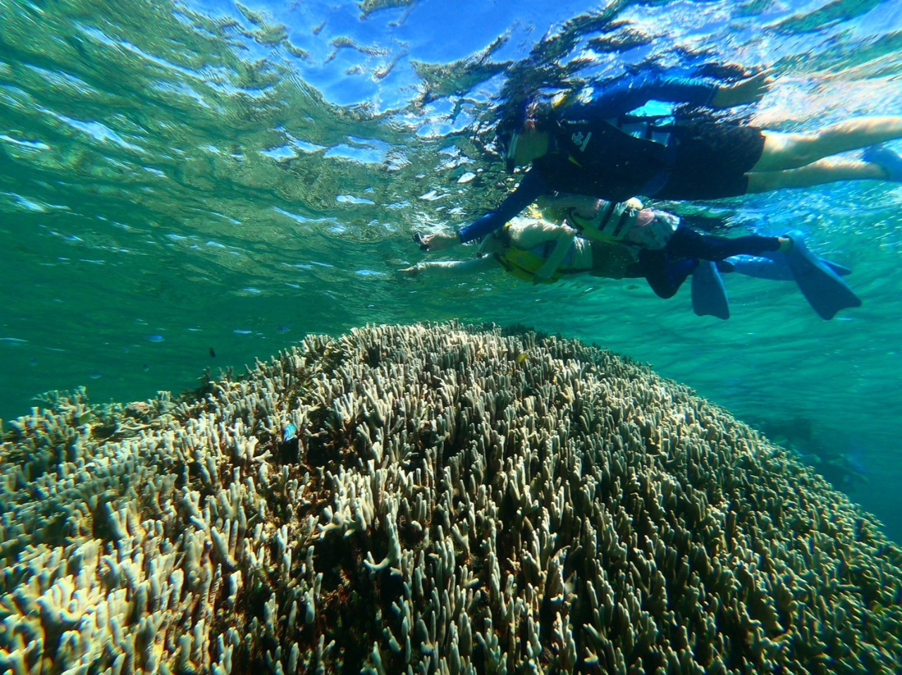 �������Ɣ��ۂ̊C�𖞋i���Ă��������B