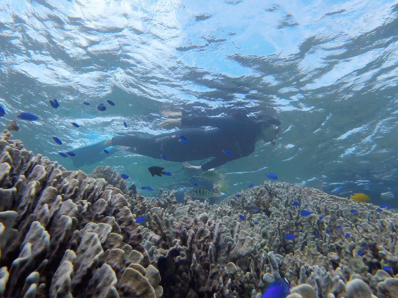 �T���S���g�߂Ɍ��邱�Ƃ��ł��܂��B