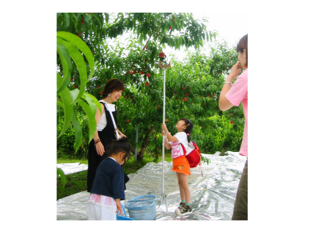 ���o���͂��F������Ƒ������Ċy���߂�C�x���g�ł��B�׉ʉ��i����������j�́A�����Ȃ��q���܂ɋ��𒣂��Ă������߂ł��铍���̌���񋟂��Ă��܂��B