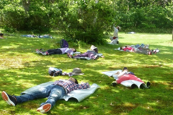 木々の緑や草花の香り、さわやかな風、小鳥のさえずり等を五感で感じながら癒しの時間を過ごします。