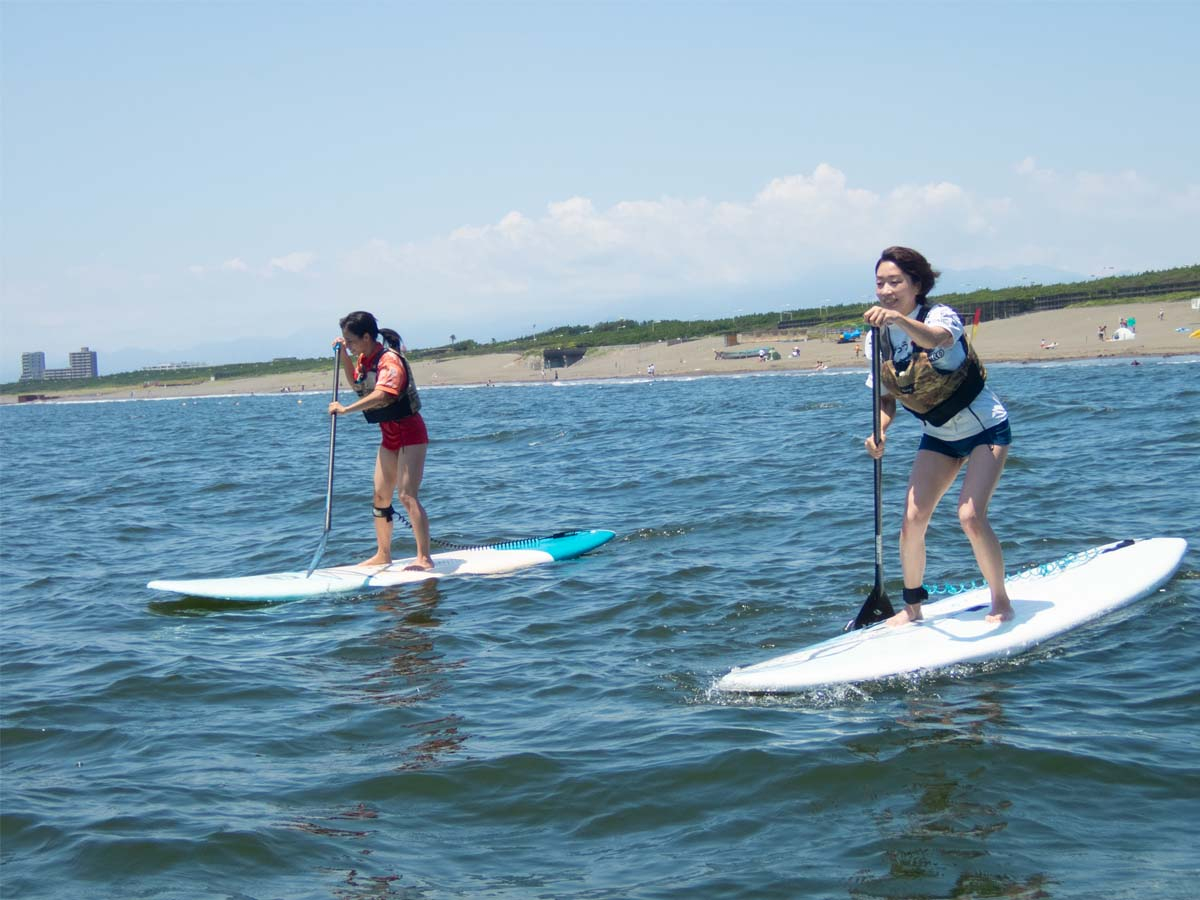 ŏ͏肭ĂȂĂvAė΃XCXCƑ܂B