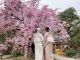 枝垂れ桜と着物