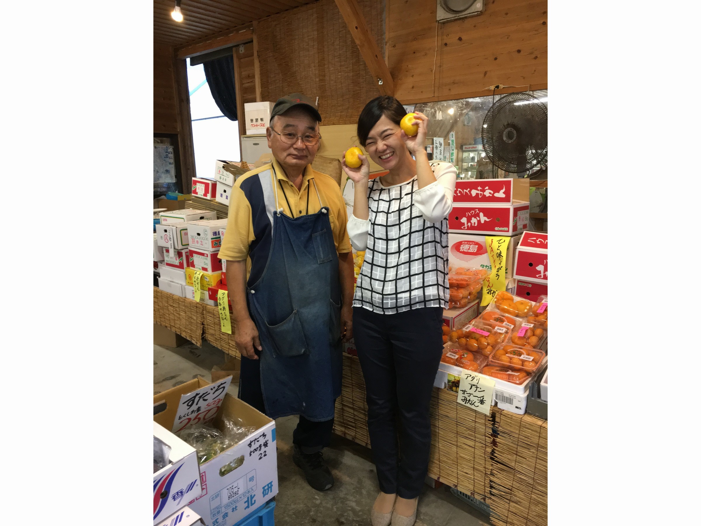 みかん狩りの季節がやってきたよ!