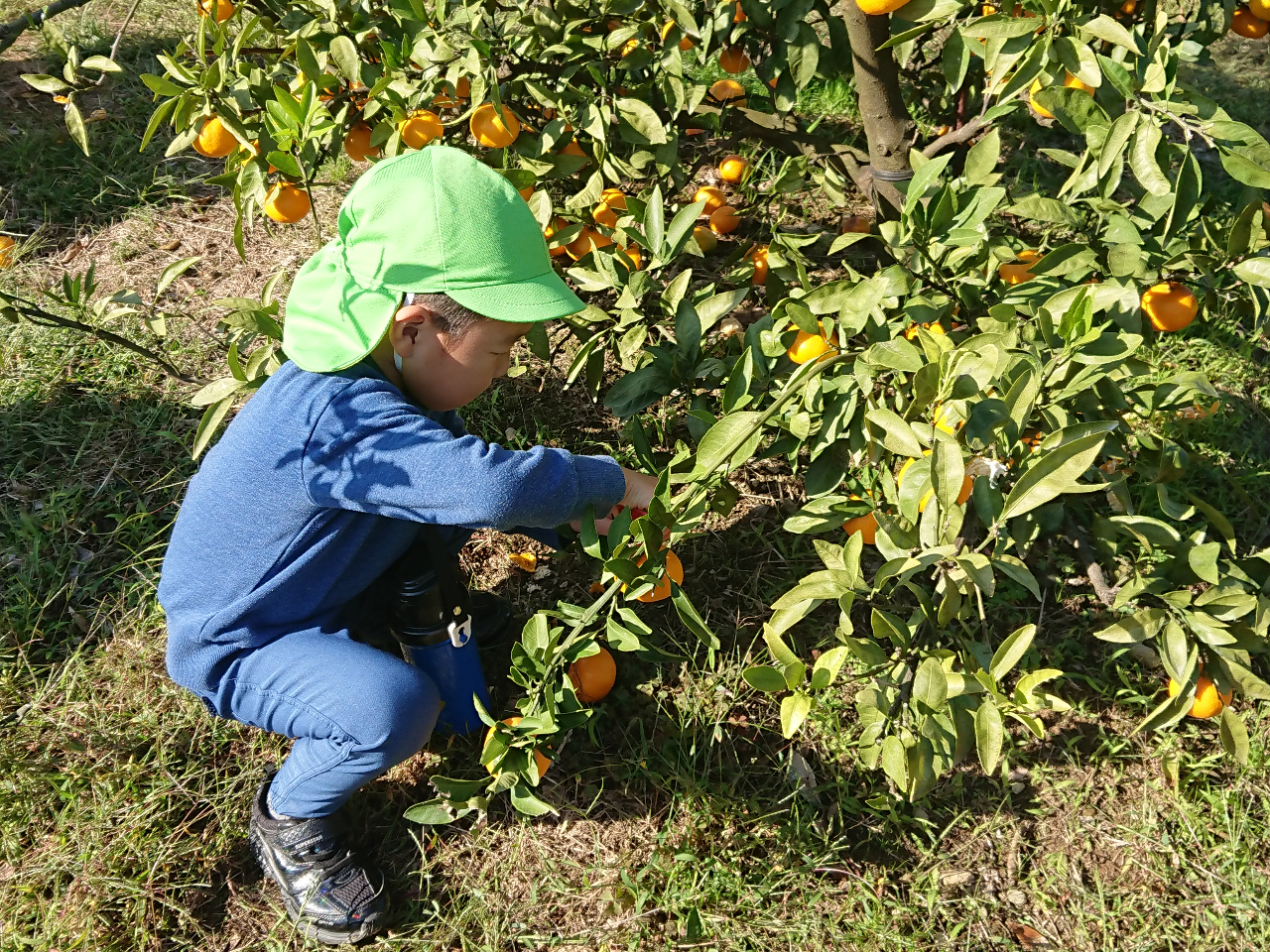 お兄ちゃんはベテランの手つきでびっくりです