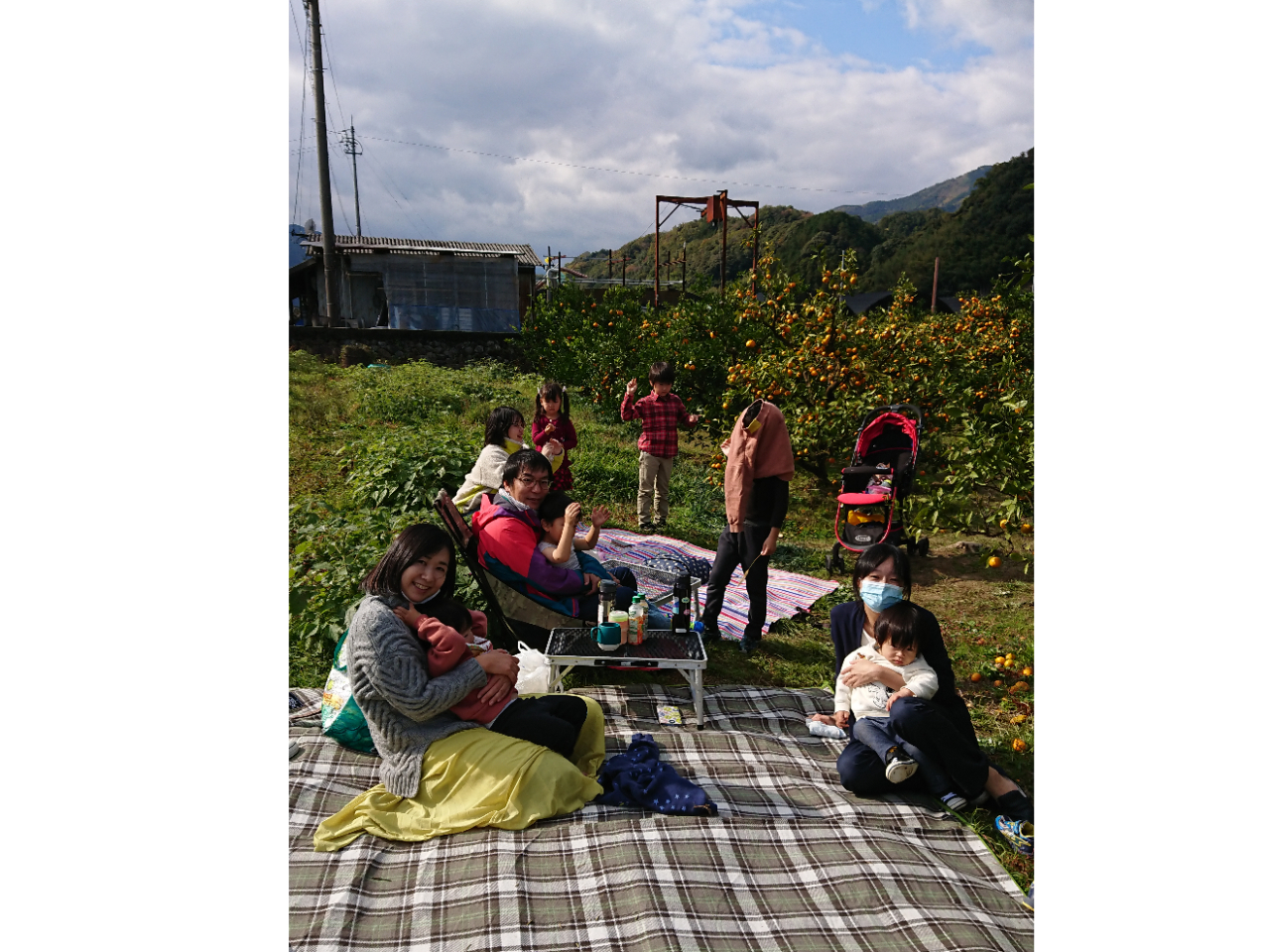 ÂĔ݂Aٓ͐Hׂ邩ȁH