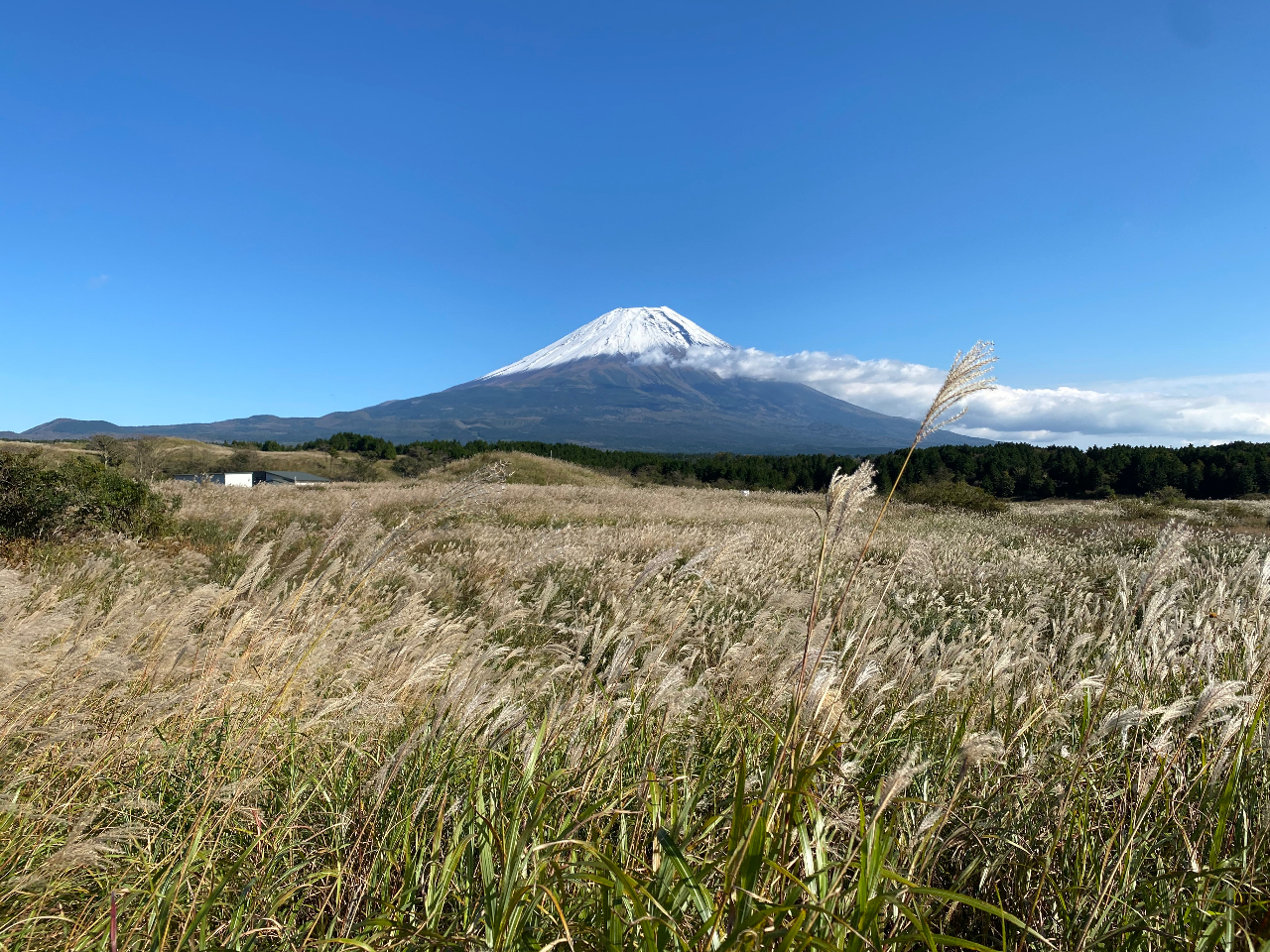 H̃XXL쌴ŃpVIlG܁XAlXȕiy߂܂I