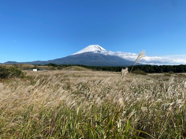 秋のススキ野原でパシャリ!四季折々、様々な風景が楽しめます!