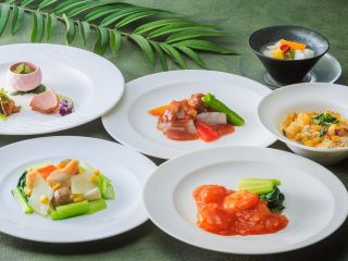 選べるランチコース