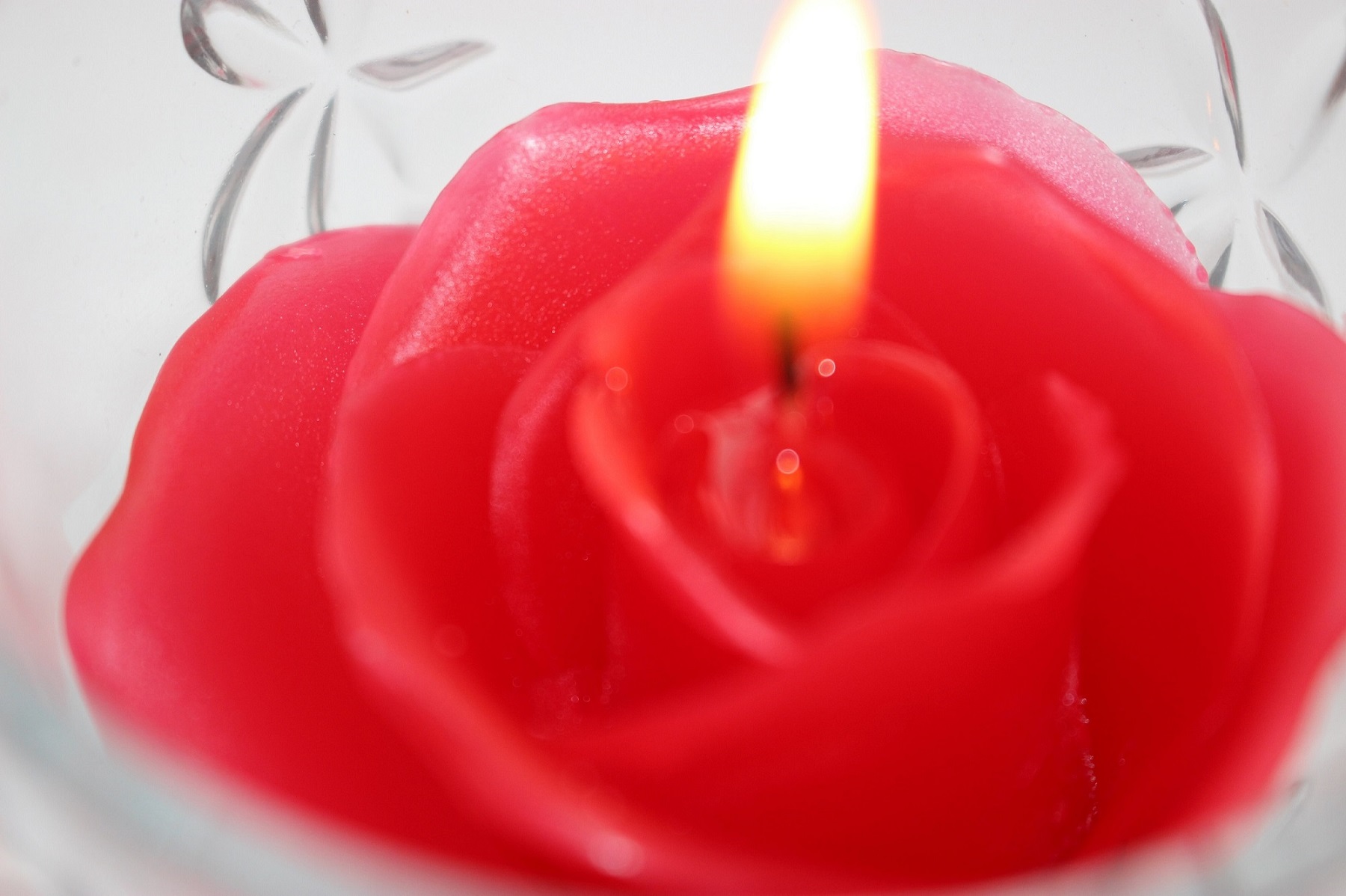 oLh̓łB
Dȓ肪ԉoĂ܂B