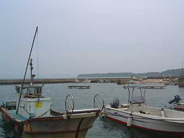 内浦漁港から船でイカダ設置場所まで送り迎えいたします。