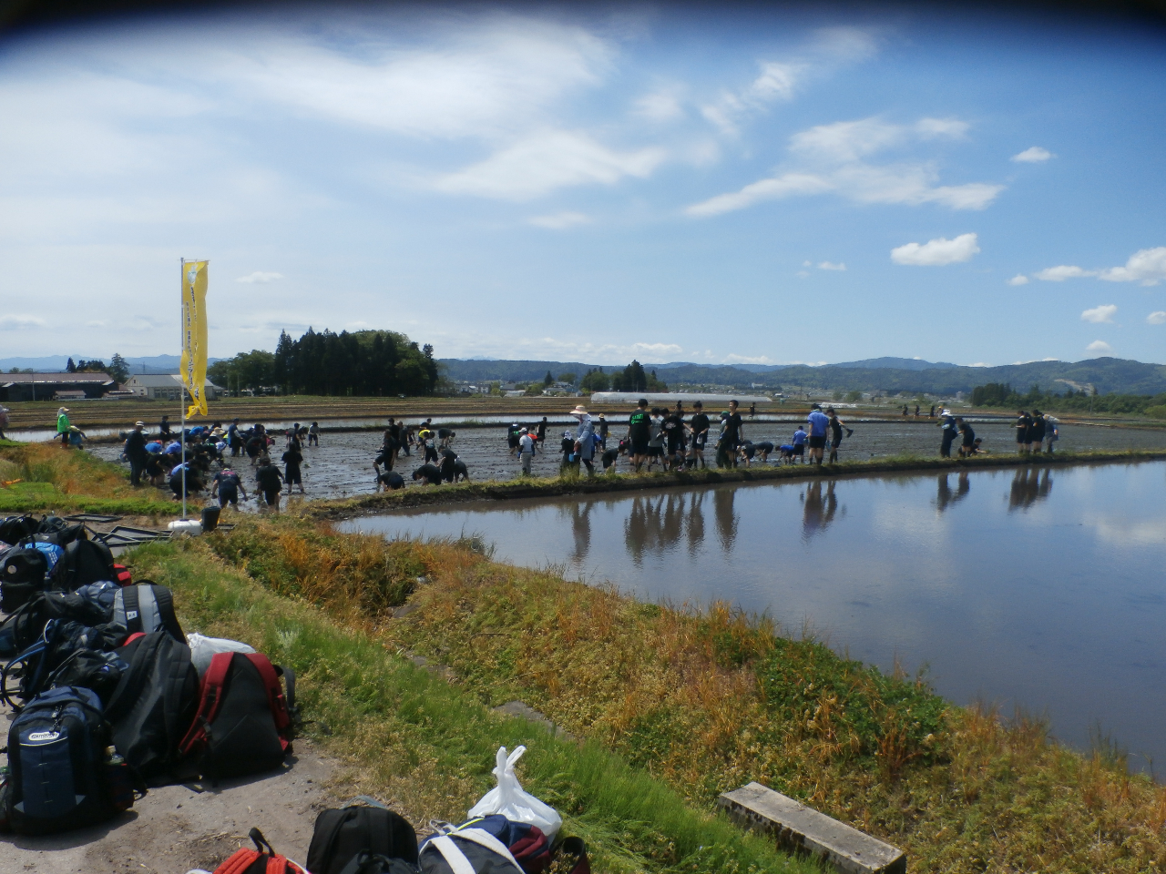 手植え体験イメ−ジ