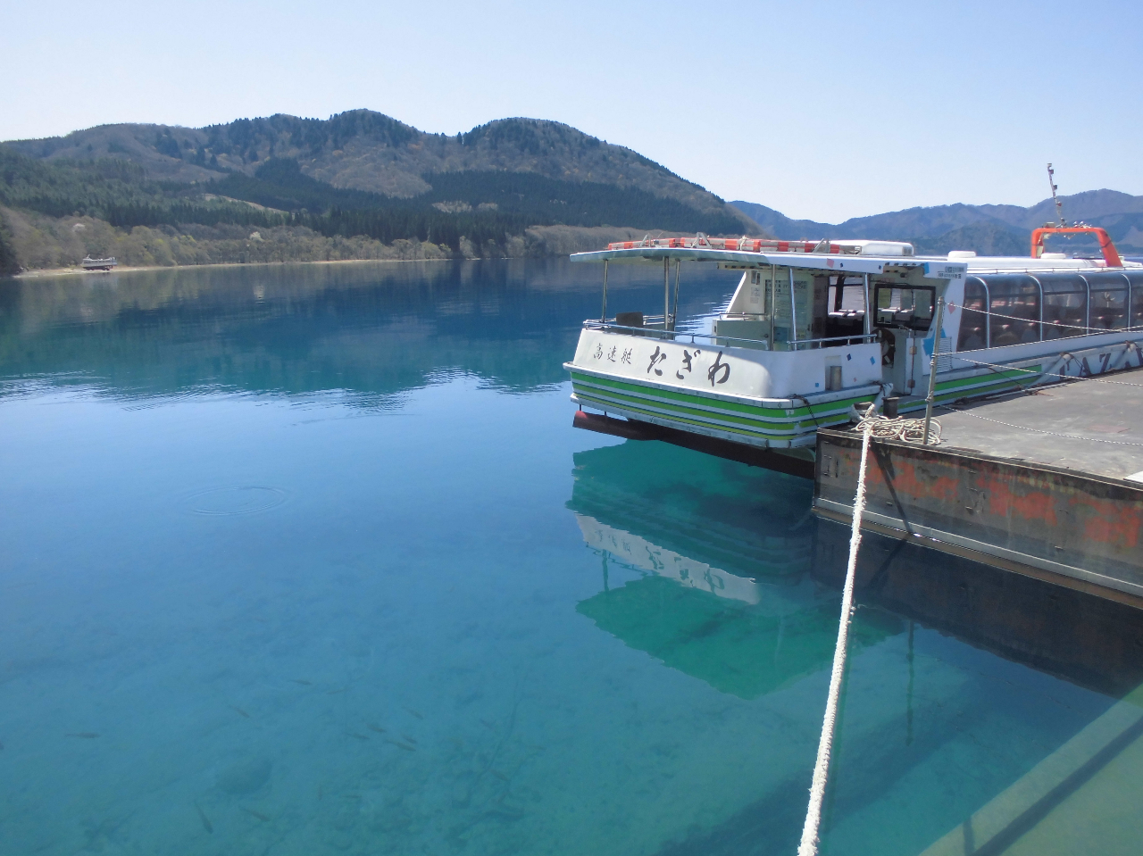 cΗVD̂΁ulVvł̗ڗF̐