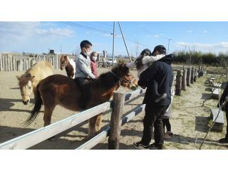乗馬体験 ポニーに乗ってワクワク 可愛らしいポニーに乗って乗馬体験を楽しもう 山元夢ファーム じゃらん遊び体験