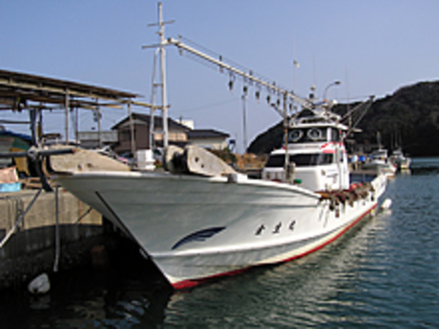 【午前便&午後便】日本海の五目釣りプラン※1隻料金です