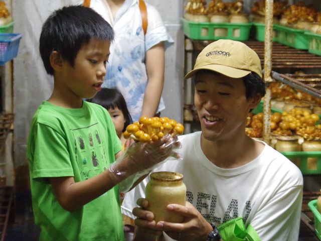 親子で協力してなめこを収穫!
