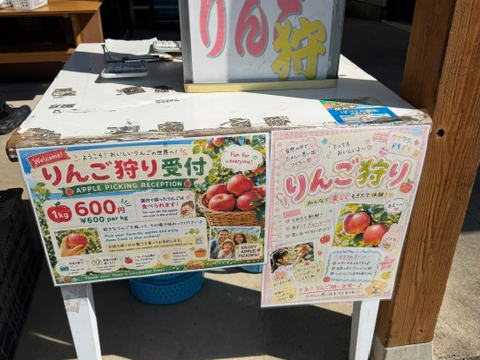 2026年【長野・りんご狩り】15品種・食べ放題☆アップルライン老舗の