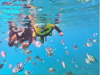 カラフルな魚たちに囲まれて