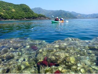 カヤックの上から真っ赤なサンゴ発見♪