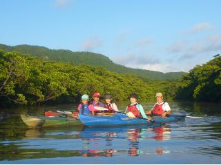 マングローブの川でのカヤックは、とても穏やかですよ!