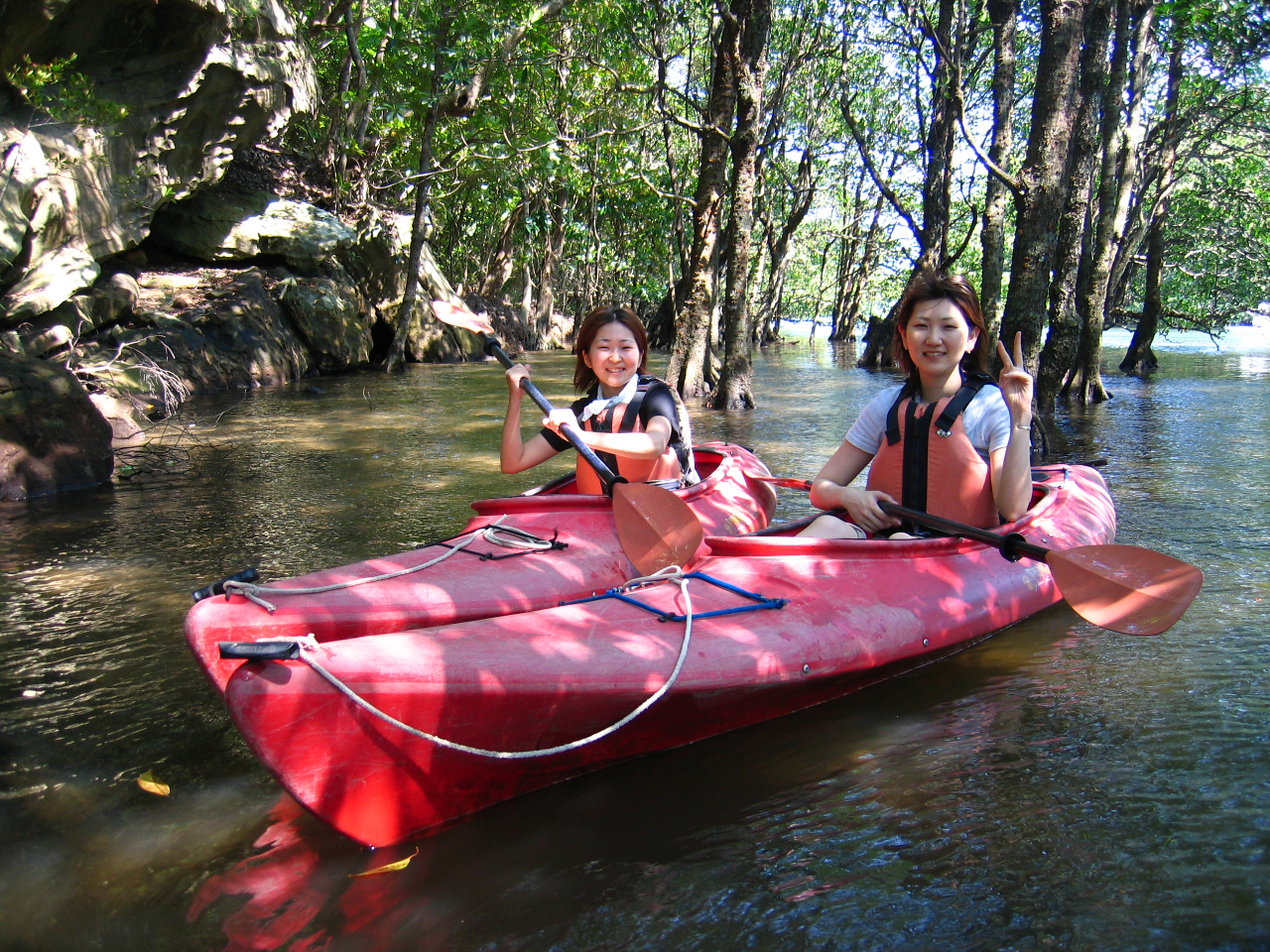 ̎ԑтɂ́A}O[u̒ɓ鎖܂