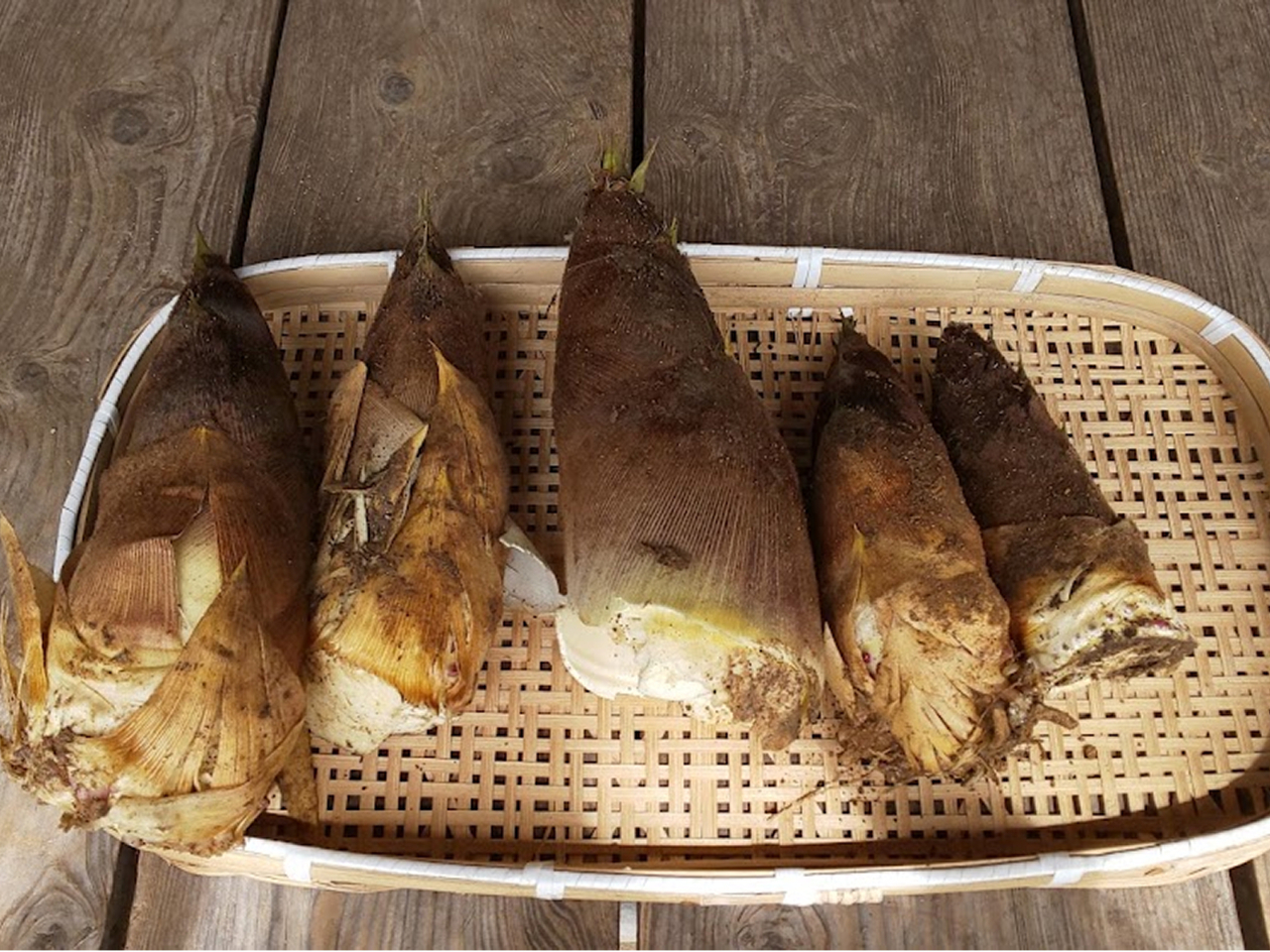 ⡌@��̌� 4����{�`5�����{