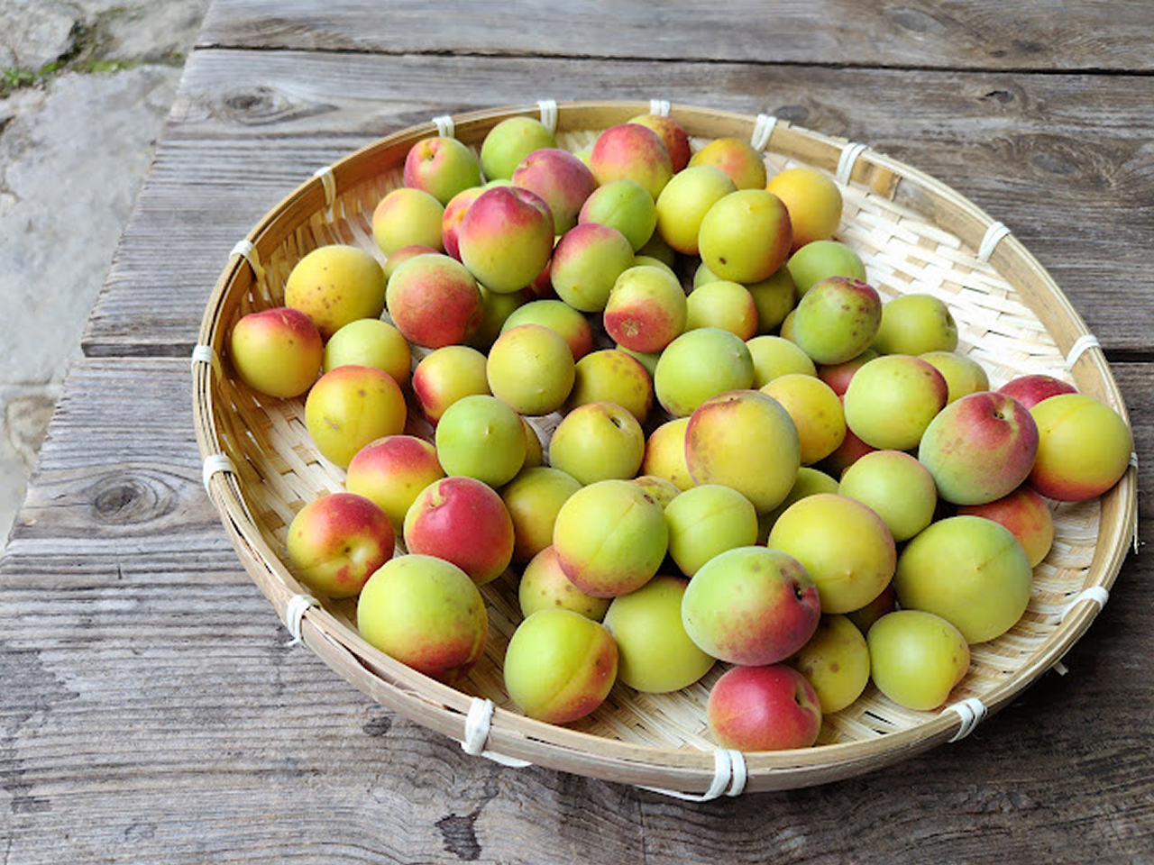 �~���n�̌��B6�����聦�e��͂����Q�������B