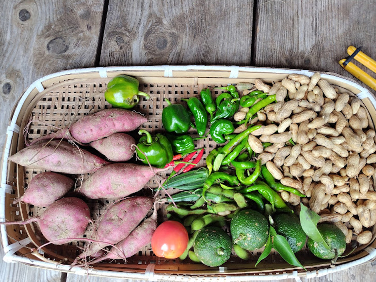 ���@�聕�H�̎��n�̌���10���@