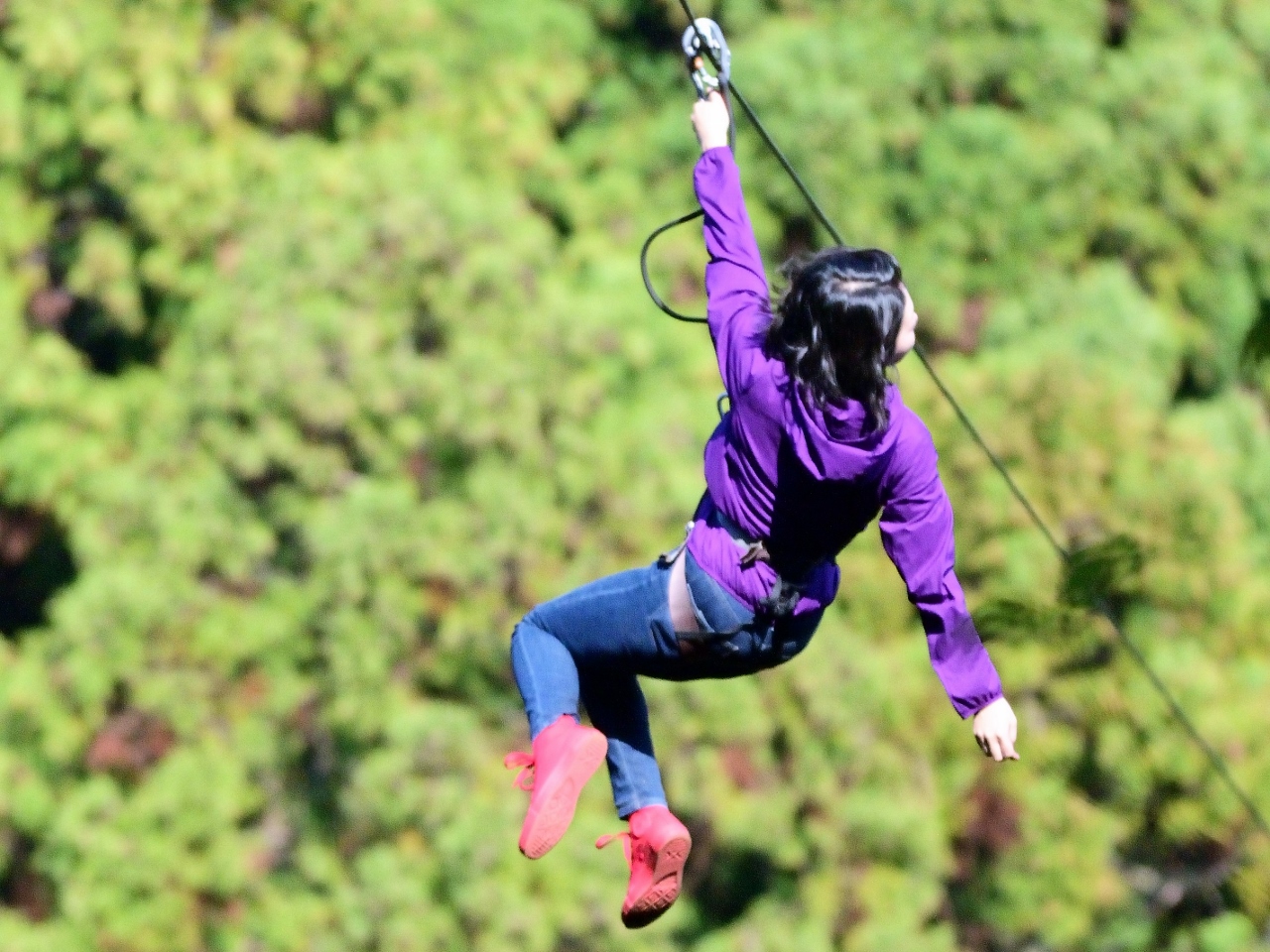 深さ30mの谷越えターザンロープはまるでグライダー