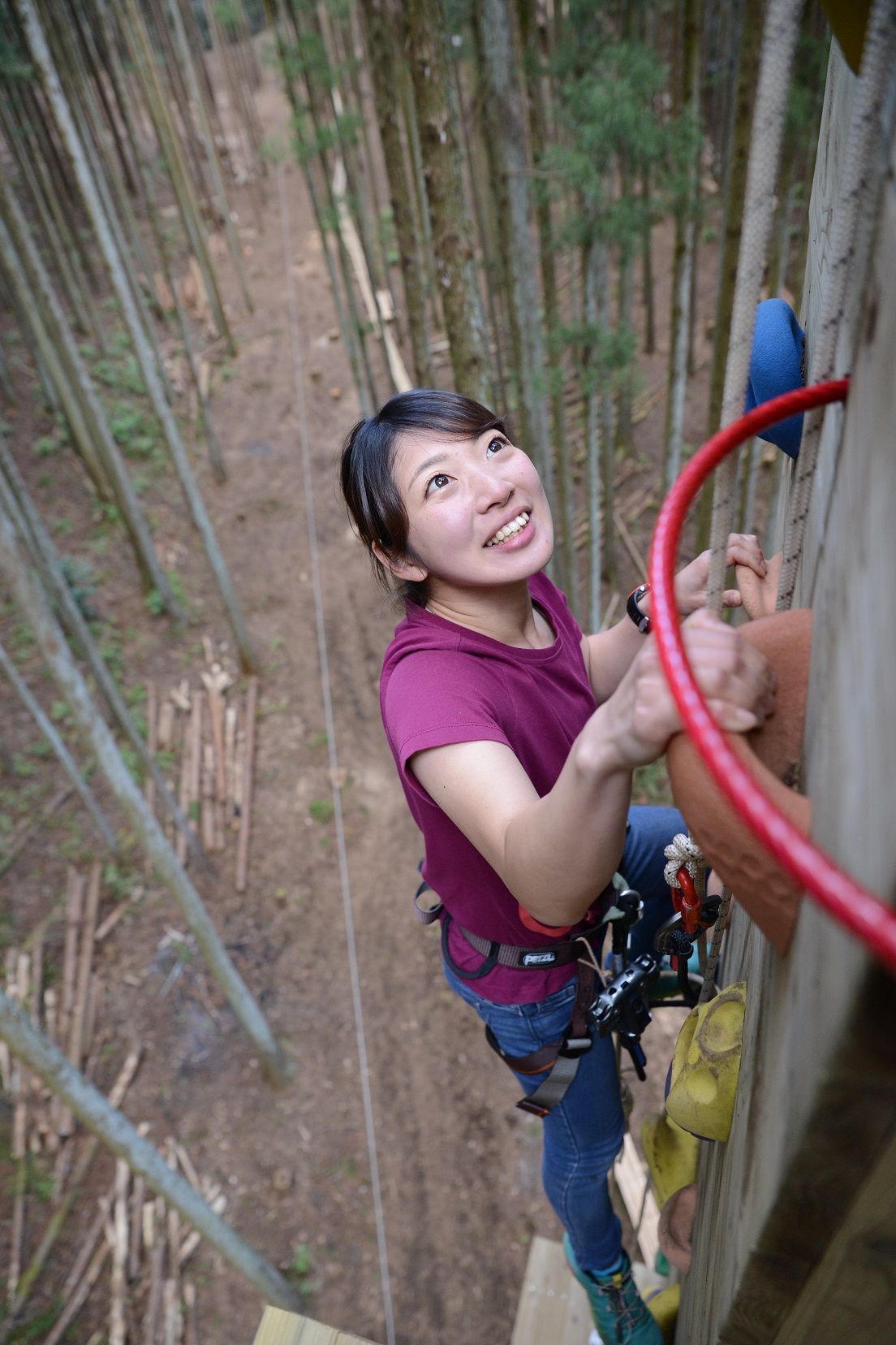 この高さでクライミングが出来るのはツリークロスアドベンチャーだけ