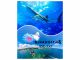 パラセーリングとセットで、美ら海水族館チケット 大人1300円 高校生700円 小中学生100円 でご利用いただけます。
